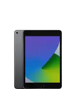 iPad mini (5. Generation)